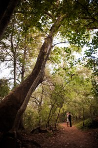 Red Rock Crossing tree path kiss