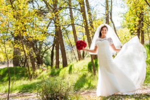 bridal dress in sun