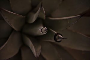 wedding-rings-and-cactus-sedona-arizona